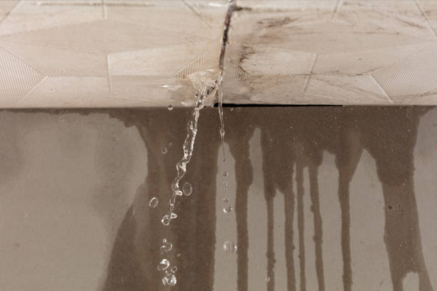 Professional Burst Pipe Cleanup technician working in Minden, WV